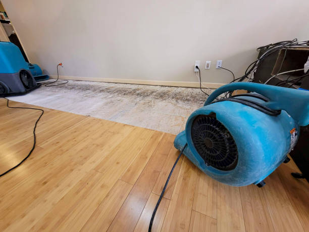 Professional Flood Damage Cleanup technician working in Silver Point, TN